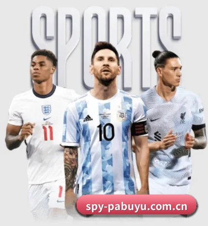 五大服务分区,信息按项目分类(pabuyu)